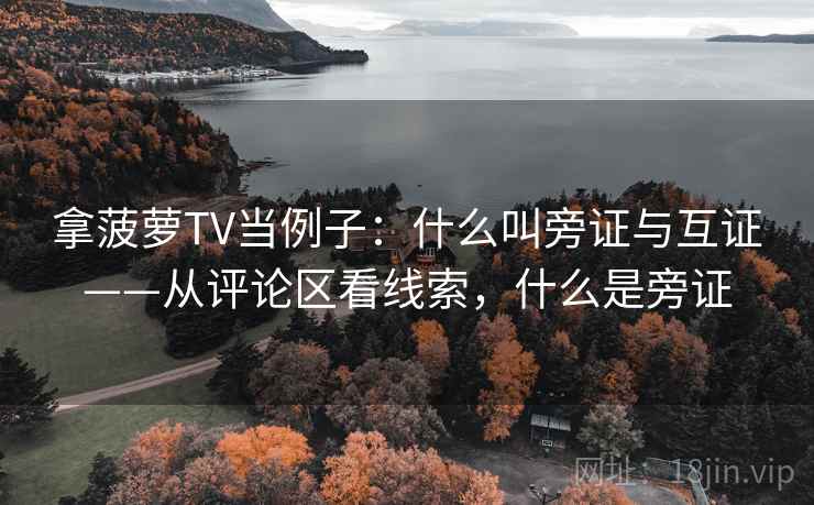 拿菠萝TV当例子：什么叫旁证与互证——从评论区看线索，什么是旁证