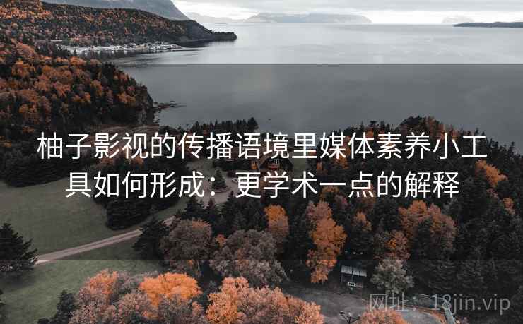 柚子影视的传播语境里媒体素养小工具如何形成：更学术一点的解释