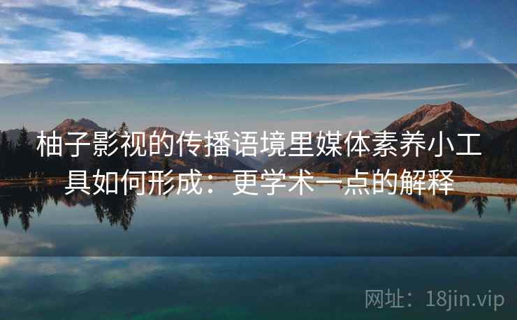 柚子影视的传播语境里媒体素养小工具如何形成：更学术一点的解释